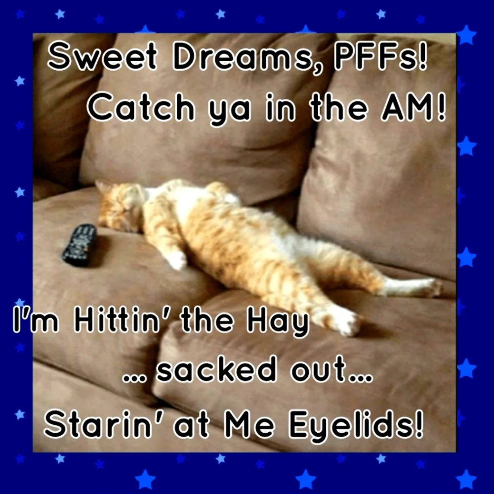 SEND ALL OFFERS 🦒•PAW🐾SOME OFFERS ROCK•All Must Go•Plz Read Below ⬇️ - Picture 16 of 16